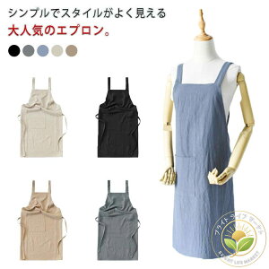 JWA Vv i` NbLO  m ۈm fB[X Y  JtF n k Lb`