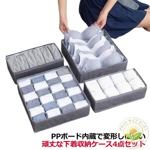 A_[EFA[ d؂ o [  C [P[X Ci[[ uW[ \bNX 4_Zbg [P[X