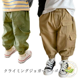 WjA LbY j̎q w w q Rbg q lۂ {gX t@bV LbY Y{ ̎q