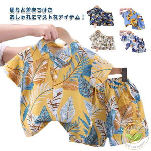 n[tpc q AnVc Vc ̎q Vc LbY ][g gbvX LbY ǂ ㉺Zbg xr[