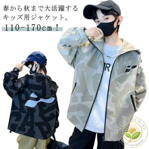 y h w t[ht q WPbg LbY Wp[ j̎q }Eep[J[ {[CY AE^[ bV n 