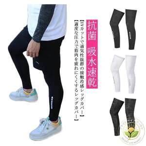 jOEFA Y WFl[^[ Xpbc jO^Cc  X|[c^Cc RvbVEFA g[jOEFA Xm[{[h 싅 EFA }\