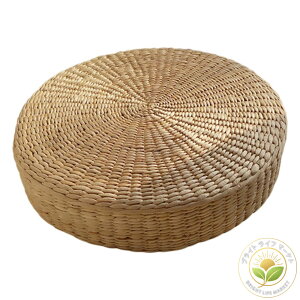 ~` NbV    CX ֎q }bg zc  rO  Eh e[u     ֗