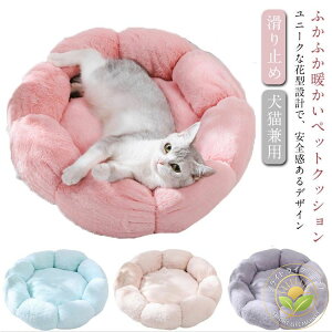 tt ybgpi  ~ CeA ӂӂxbh t@[ ybgp pNbV