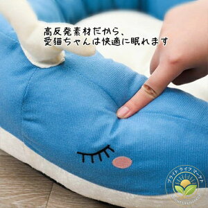 ^ NbV ybg ybg\t@[ I[V[Y ybg ی^  L 킢 xbhxbg ӂӂ