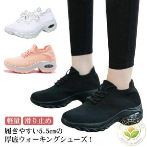 Xj[J[ EH[LOV[Y fB[X  y  L V[Y lC jOV[Y GA[NbV WMOV[Y ʋ ₷ Xj[J[