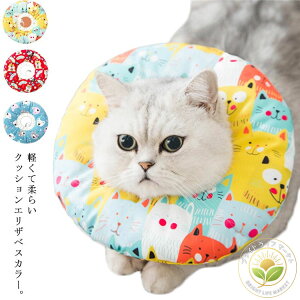 ^ ^ h[ic  h TCY NbVGUxXJ[ \tg  L NbVJ[ GUxXJ[