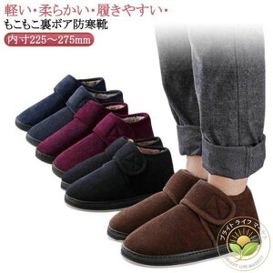 hu[c wlp am  [V[Y  ₦΍ H~ {A hC Xbp V[Y