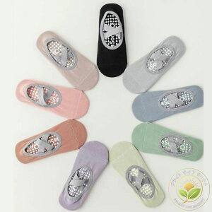 ~ C fB[X ʋC Obv R hL eBsX _X oG X|[c 퐶