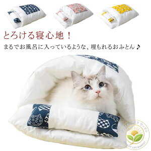    Q ybg 킢 xbh g L zc ~ ybgxbg L ~p ӂӂ