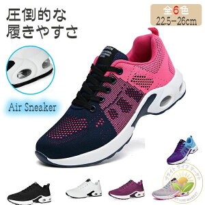  ~ O _CGbg EH[LOV[Y y ʋC jp jOV[Y fB[X Y