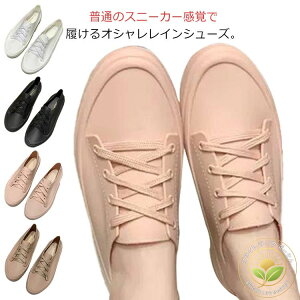 ɂ y [Jbg Cu[c  JC V[Y h J̓ CV[Y fB[X CXj[J[