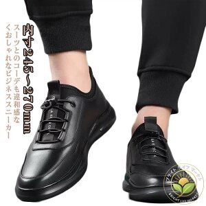 C Xb| ʋC tH[} amC RtH[gV[Y vC Ȑ Xj[J[ rWlXV[Y