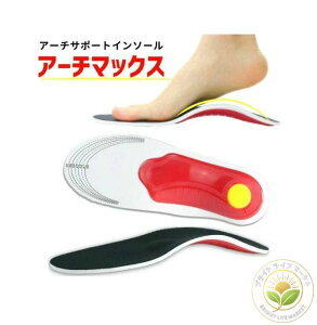 T|[g V[Nbg X|[c  Xj[J[ Y fB[X ~ A[`T|[g Ռz C\[