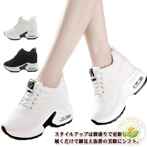 ɂ ₷ y C  ubN Cq[ nCJbgXj[J[ [Jbg V[Y fB[X Xj[J[