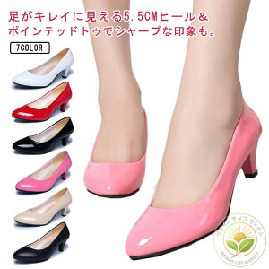 pvX ɂȂ |CebhgD 5.5cm q[ fB[X ~hq[   ItBX N[g  傫TCY TCY ʋ d _炩 p[eB[