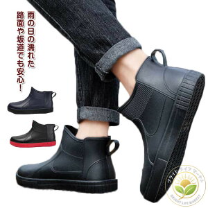 | _ AEghA CV[Y JC o[V[Y ʋ h C Sh y Cu[c Y h ~J