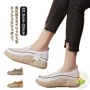 Xj[J[ RtH[g \[ ӂƌy _炩 y JWA Ȑ  fB[X C\[t