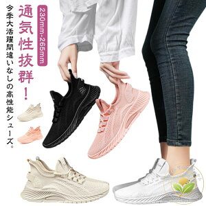 C jOV[Y v[g AEghA  y 傫TCY X|[eB[ Y y