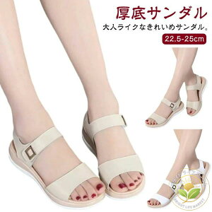 RtH[gT_  m炸 T_ lT_ q[ xN r ₷ ɂ Ȃ Xj[J[T_ X|[cT_ C  fB[X