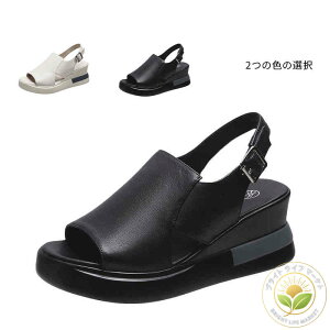 E₷ ₷ Ȃ ItBXT_ T_ p wl i[XT_  t fB[X T_ 