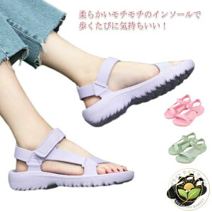 TCY ₷ y y  t V[Y l }WbNe[v r[`T_ ₷ ɂȂ ؂ T_