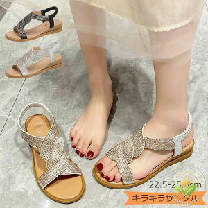 T_ fB[X LL S[h Vo[  l r CXg[ XgbvT_ tbg gO EFbW\[ OfBG[^[ 񂾂