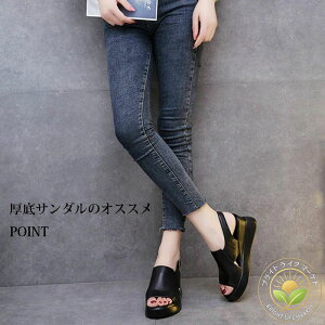 C ~ZX EGbW\[  x[W  q[ fB[X T_ EFbW\[ r T_