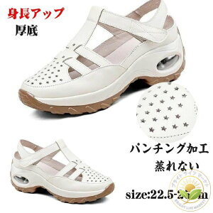 y ɂ ʋC T}[T_ Ȃ p`OH xN gAbv fB[X Xj[J[