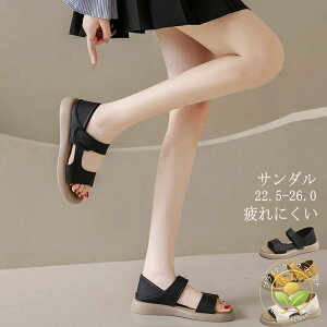  JWA 킢  }WbNe[v X|T c[xg X|[cT_ Ȃ fB[X T_