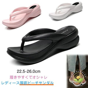 r[` T_ O  gOT_ Y fB[X 6cm lԍHw Xbp r[`T_ ӂӂ _炩 ₷ ~ ϖ y JWA