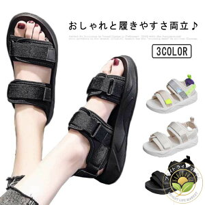 fB[X X|[cT_ 킢 T_ r[`T_ y fB[X  C ₷ Xj[J[T_ L