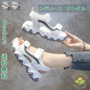 AEghA ₷ X|[c C  w ʋΒʊw y r[`T_ T_ RtH[g T_ fB[X