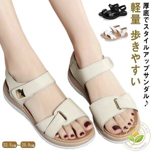 v Ȃ T_ v fB[X ɂȂ Gi y EGbW\[ 3.5cmq[ ₷ EGbW\[