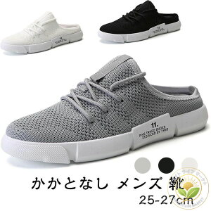 y [t@[Xbp NbV ₷ h ʋC T_ bV Xj[J[  C Y ƂȂ