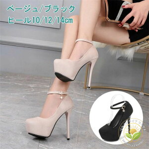 LoV[Y O  nCq[ vXgbv EȂ C Xg[ pvX ) 10/12cm/14q[ T_i