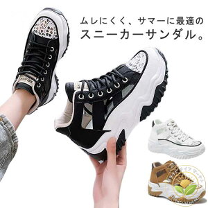 Xj[J[T_ Xj[J[ T_  Xj[J[ nCJbg _bhXj[J[ fB[X Xj[J[ r t