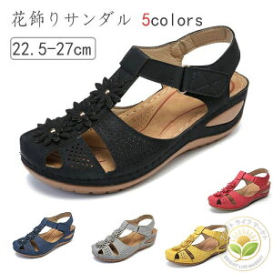 EhgD  y GXjbN VjA ĉԏ T_ fB[X EFbW~[  OJT_ T_