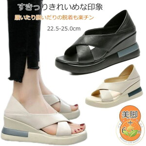  T_ fB[X X|[cT_ IV ItBX ₷ _炩 y r 6.5cm Xb| EH[LO Ȃ ~  lC 