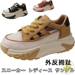 Xj[J[ fB[X T_ V^  ₷ Ȃ  ʋC L y r gUP JWAV[YAOd lԍHw JWA V[Y