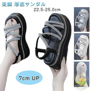  fB[X T}[T_ 7cmX|[cT_ rW[ Xgbv EFbW ČC EH[LOV[Y ^C ϋv h ϖՐ y GKg Ȃ