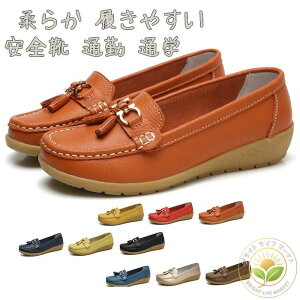 fB[X JV [t@[ pvX tbgV[Y/Xb| T_ {v _炩 ₷ }}V[Y RtH[g i[XV[Y JWA