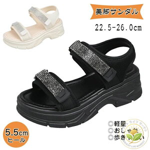 X|[cT_ fB[X   ₷ y X^CbV r  T_ y ʋC r EH[LOV[Y Vv JWA ubN