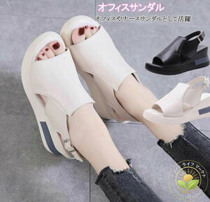 X|[cT_ }}T_ ItBXV[Y ₷ ɂ i[XT_  T_ ItBX fB[X