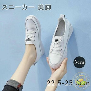 Xj[J[ ₷ [XAbv Cq[ [Jbg Xj[J[ Cq[ fB[X C