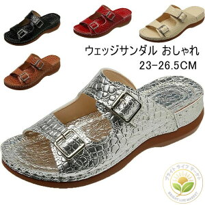 EFbWT_  Xg[t  C  ~[T_ fB[X r GKg ₷ Ȃ TCY 傫TCY JWA C