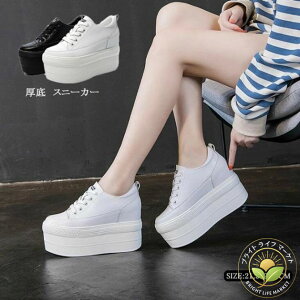 ҂ݏグ Xj[J[    fB[X Xj[J[ Cq[ V[Y Xj[J[ Xj[J[