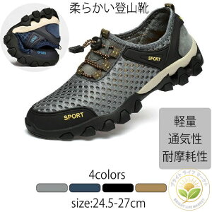 y 傫TCY h h nCLOV[YSf _炩SnfB[X oRC Y gbLOV[Y