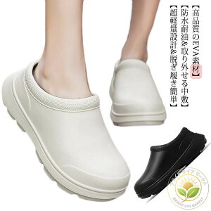 K[fjO T{T_ AEghA fB[X RbNV[Y jp p y Y fB[X W[ EVAf