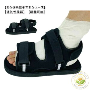 t T_ V[Y MvX V[Y  Б V[Y  MvX ܗp Jo[ C Ep  ܂Ώ